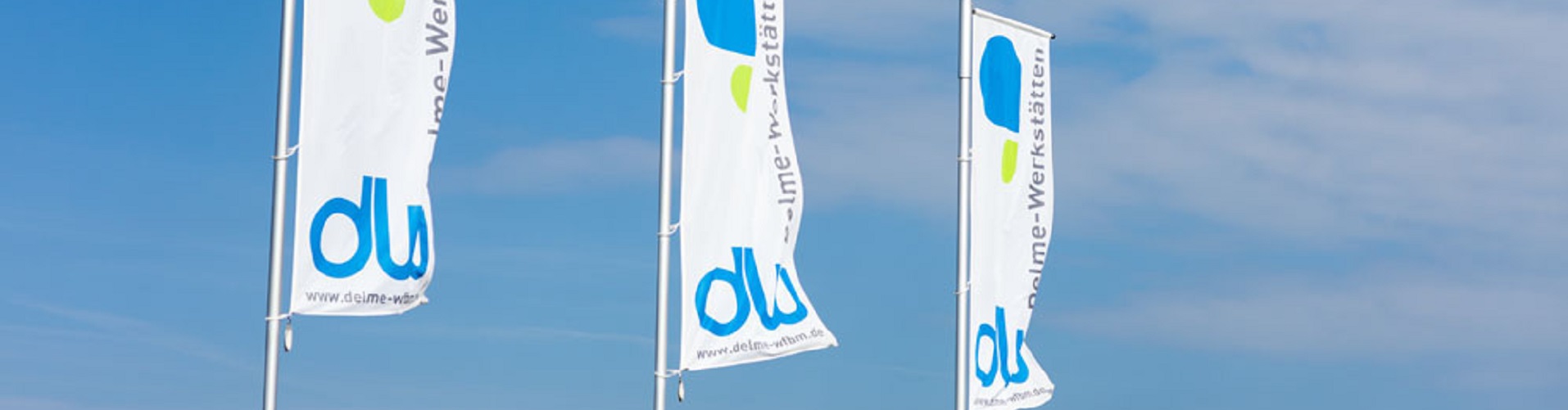 drei Delmeflaggen vor einem hellblauem Himmel