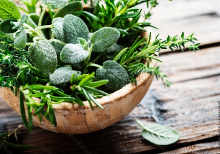 Eine Schale voller grüner Pflanzen und Kräuter