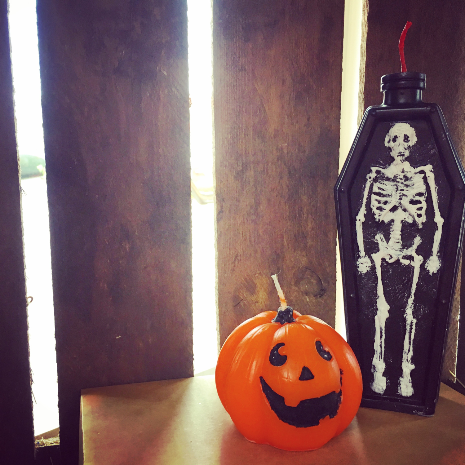 Halloween-Kerzenset "Kürbis und Skelett"